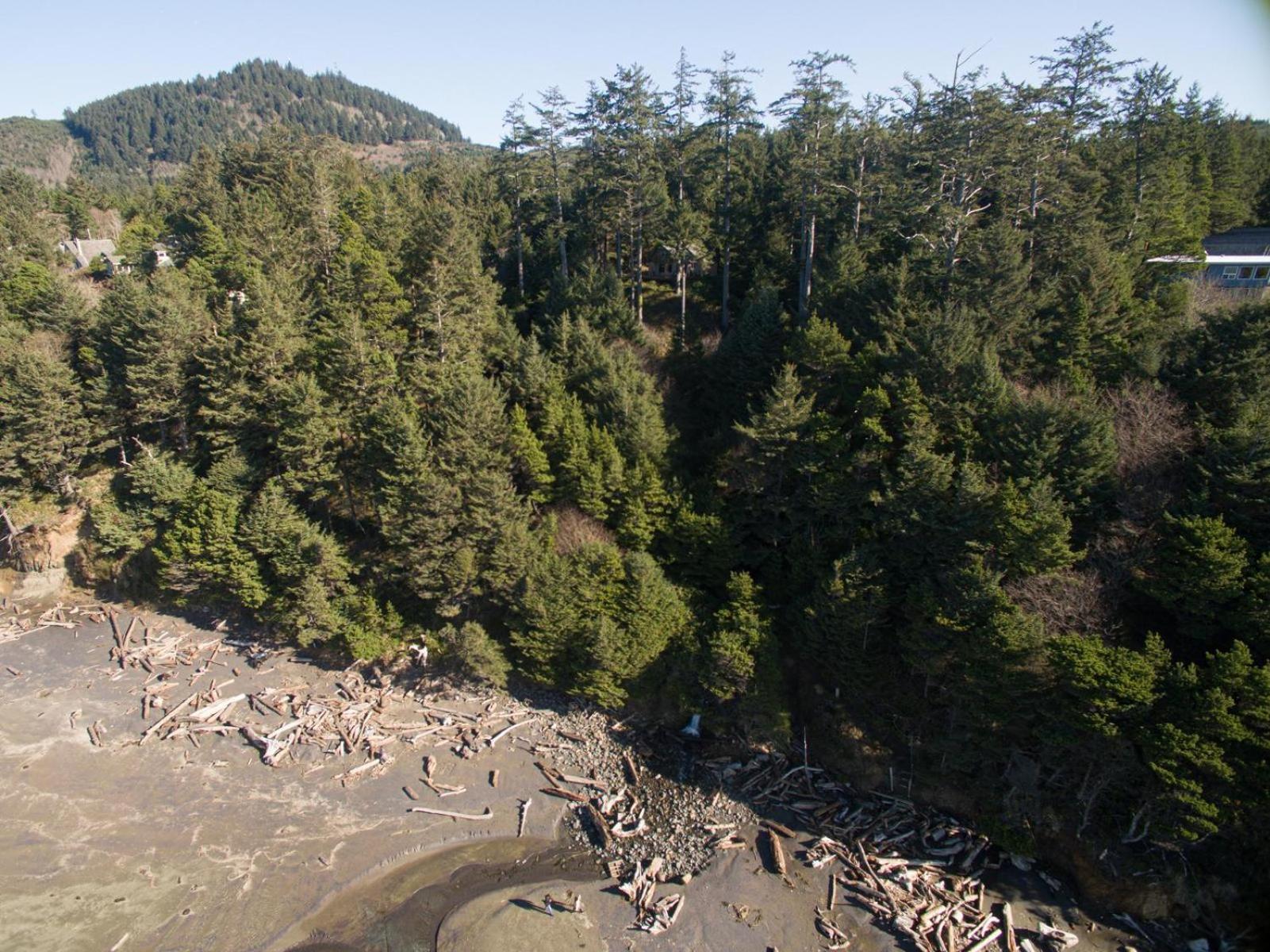 The Cedar House Βίλα Otter Rock Εξωτερικό φωτογραφία