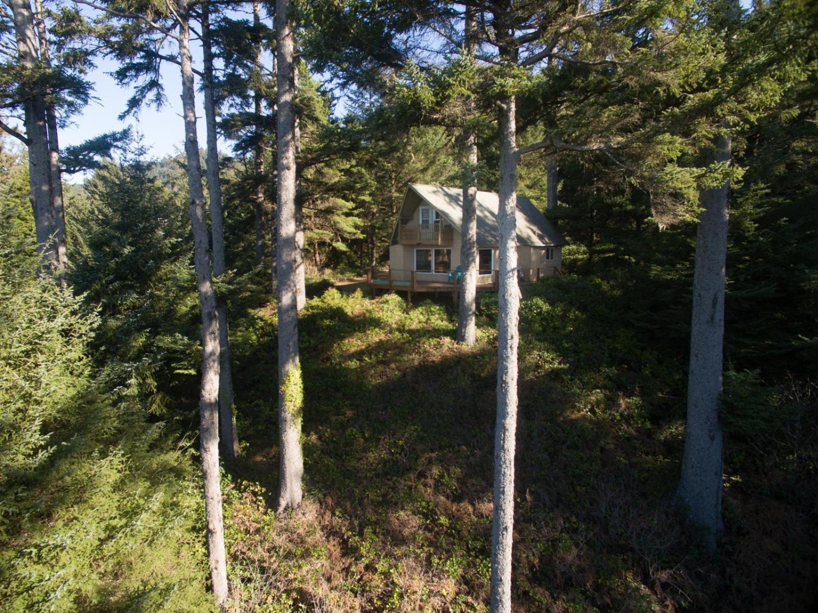 The Cedar House Βίλα Otter Rock Εξωτερικό φωτογραφία